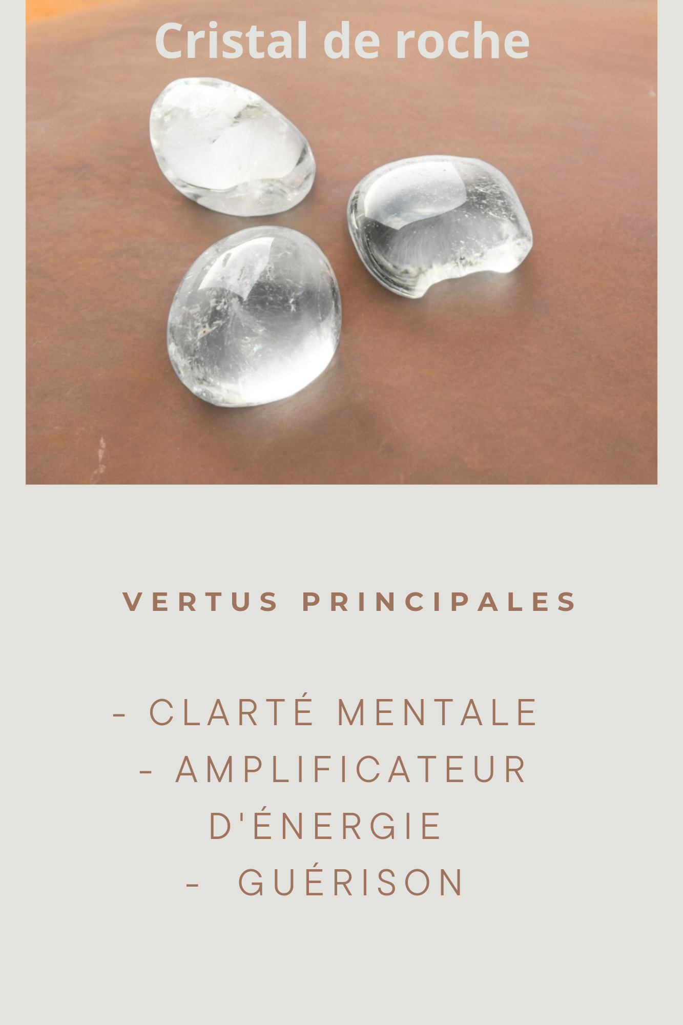 Créoles 3 charms 8mm en acier inoxydable Flore Holistic