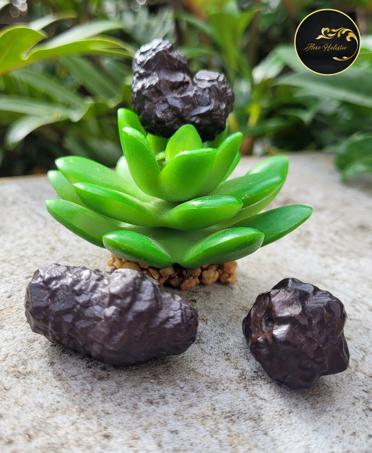 Pierre de prophétie Flore Holistic