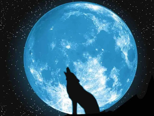 Trouvez la paix intérieure avec la première pleine lune - Flore Holistic