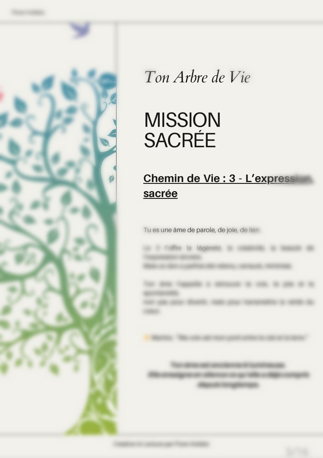 ALCHIMIE INTÉRIEURE — Lecture d’ame et Bracelet Sacré - Lecture d’âme & activation énergétique - Flore Holistic