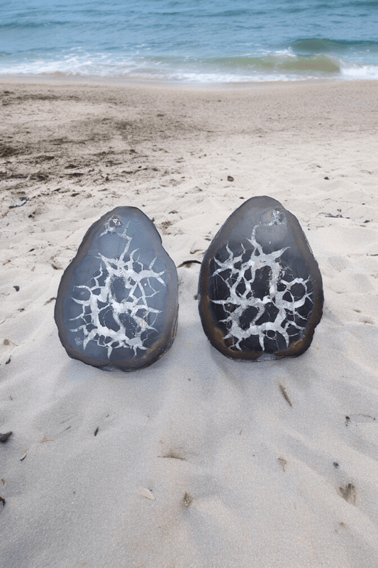 Nodule de Septaria – Ancrage, Protection et Clarté - Pierre naturelle brute - Flore Holistic