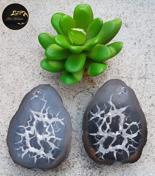 Nodule de Septaria – Ancrage, Protection et Clarté - Pierre naturelle brute - Flore Holistic