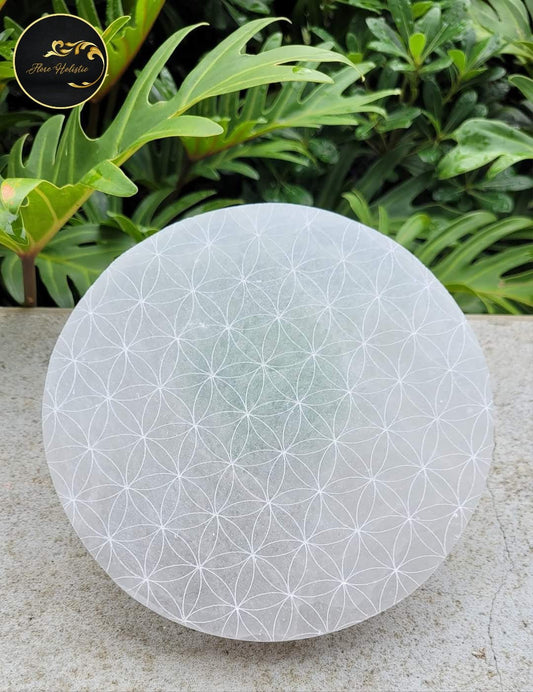Plateau en Sélénite Fleur de Vie – Purification et Recharge des pierres (14 cm) - Pierre naturelle polie - Flore Holistic